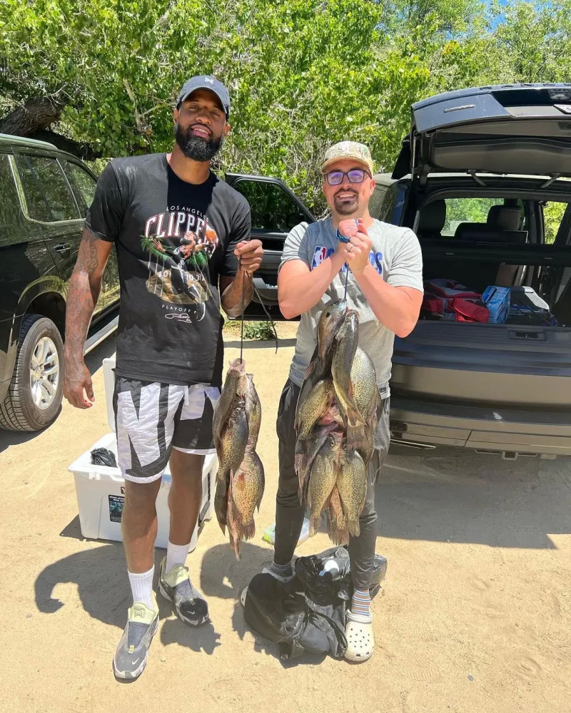 类似的案例 类似的案例